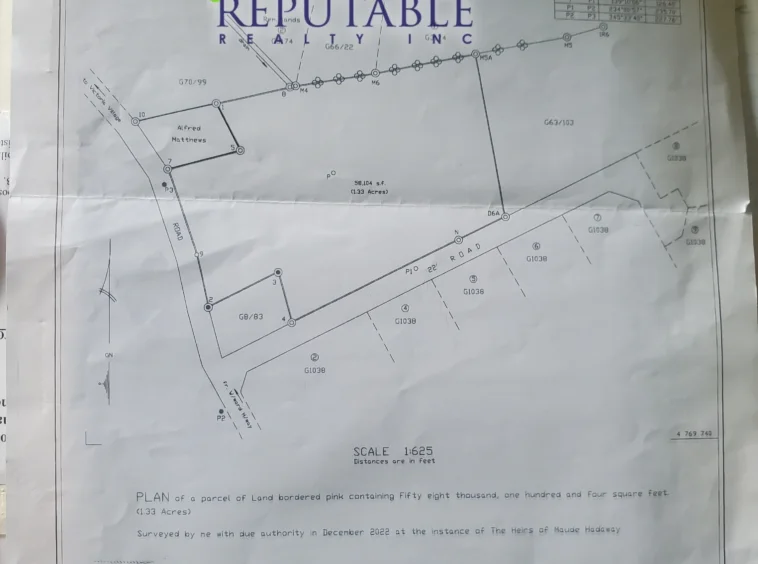 For Sale: Land at Carapan